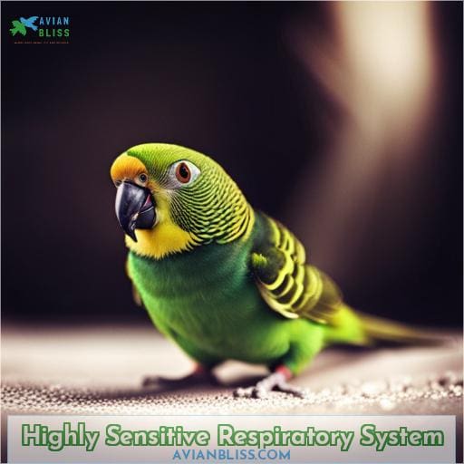 Highly Sensitive Respiratory System