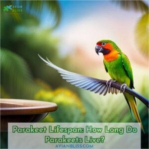 how long do parakeets live on average
