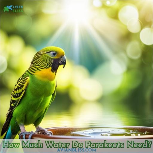 How Much Water Do Parakeets Need