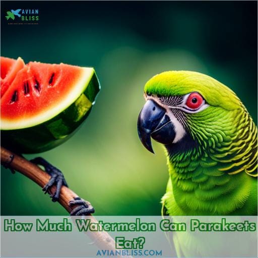 How Much Watermelon Can Parakeets Eat