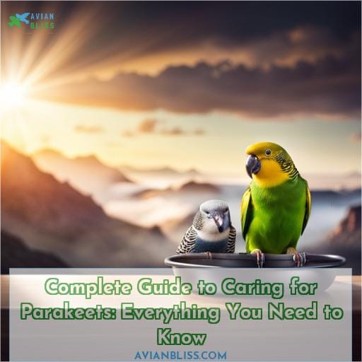 how to care for parakeets a complete guide with all you need to know