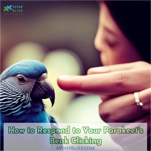 How to Respond to Your Parakeet