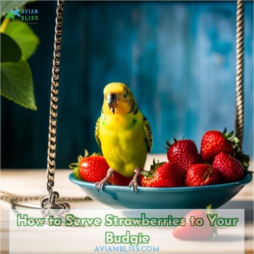 How to Serve Strawberries to Your Budgie