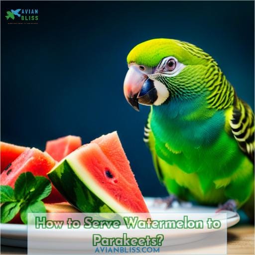 How to Serve Watermelon to Parakeets