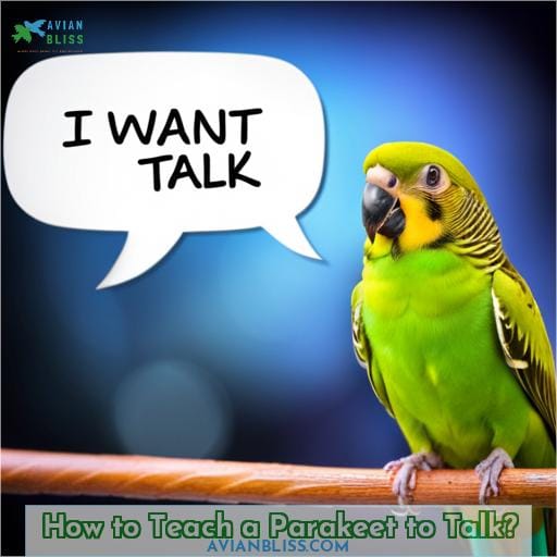 How to Teach a Parakeet to Talk