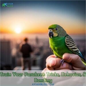 how to train a parakeet