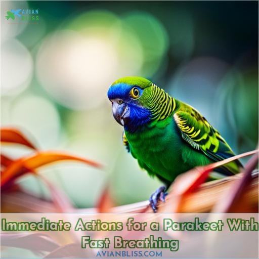 Immediate Actions for a Parakeet With Fast Breathing