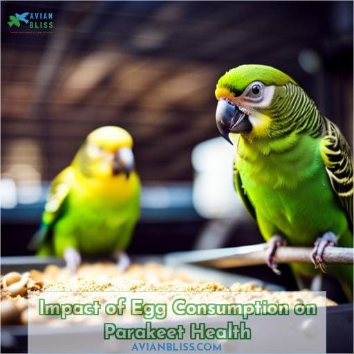 Impact of Egg Consumption on Parakeet Health