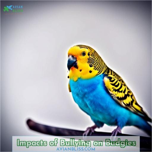 Impacts of Bullying on Budgies