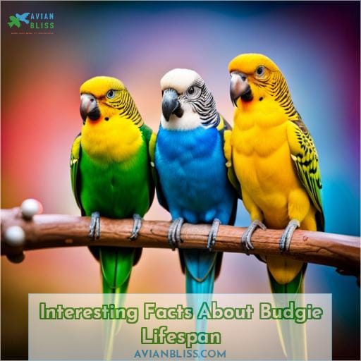 Interesting Facts About Budgie Lifespan