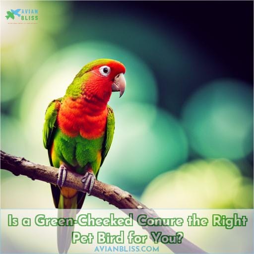 Is a Green-Cheeked Conure the Right Pet Bird for You