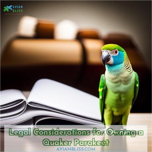 Legal Considerations for Owning a Quaker Parakeet