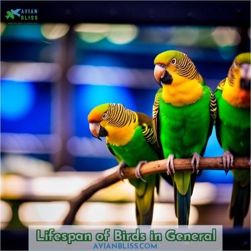 Lifespan of Birds in General