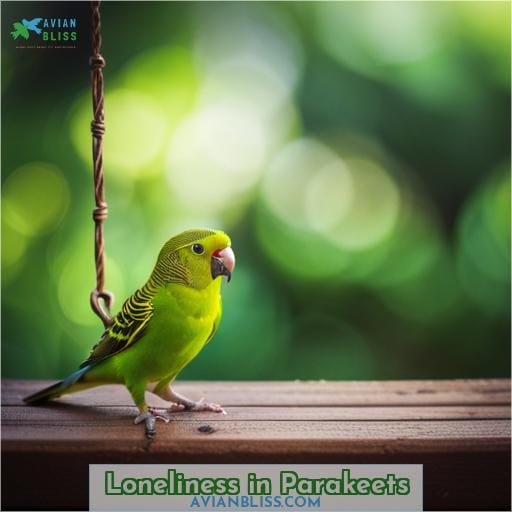 Loneliness in Parakeets