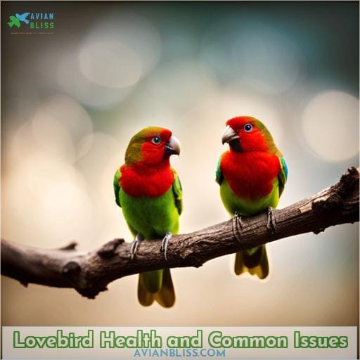 Lovebird Health and Common Issues