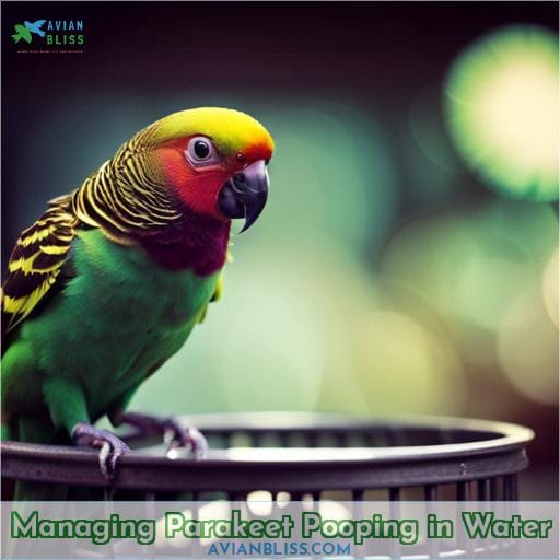Managing Parakeet Pooping in Water