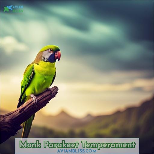 Monk Parakeet Temperament