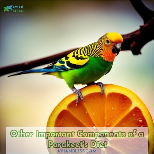 Other Important Components of a Parakeet