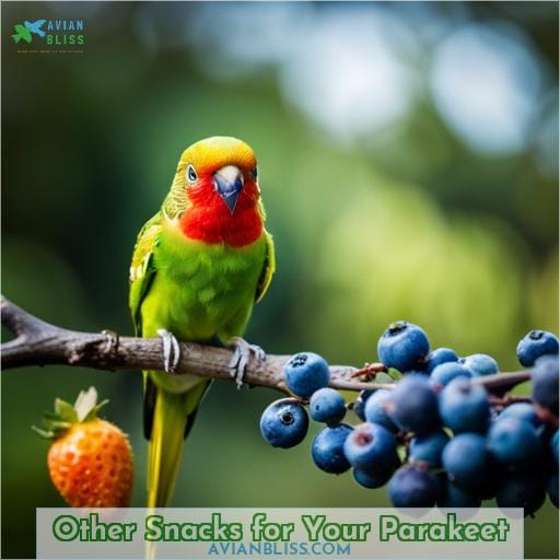 Other Snacks for Your Parakeet