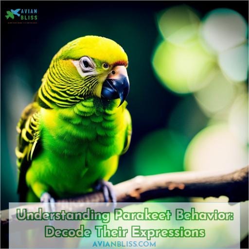 parakeet behavior guide how to know what they are expressing