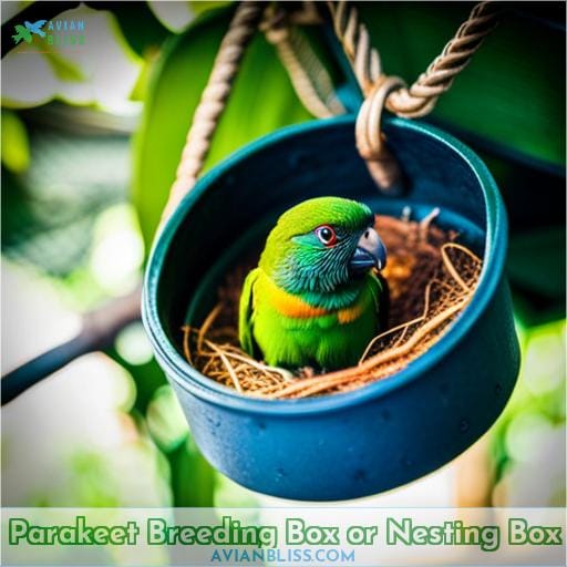 Parakeet Breeding Box or Nesting Box