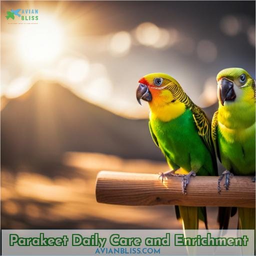 Parakeet Daily Care and Enrichment