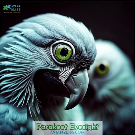 Parakeet Eyesight
