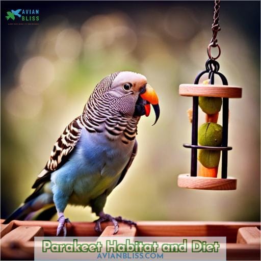 Parakeet Habitat and Diet