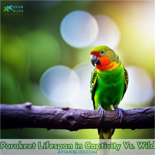Parakeet Lifespan in Captivity Vs. Wild