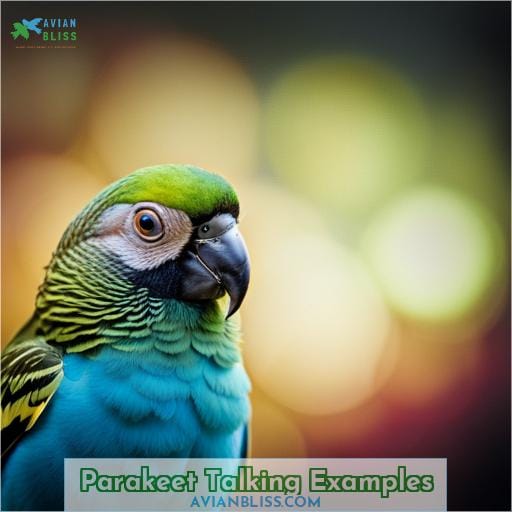 Parakeet Talking Examples