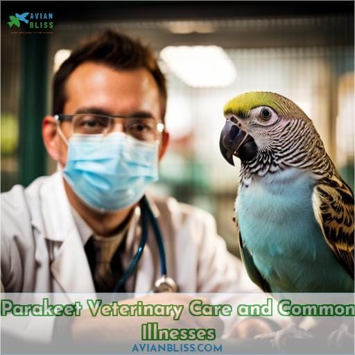 Parakeet Veterinary Care and Common Illnesses