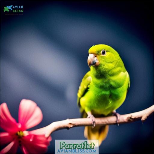 Parrotlet