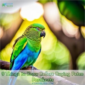 petco parakeets 9 things to know before you buy