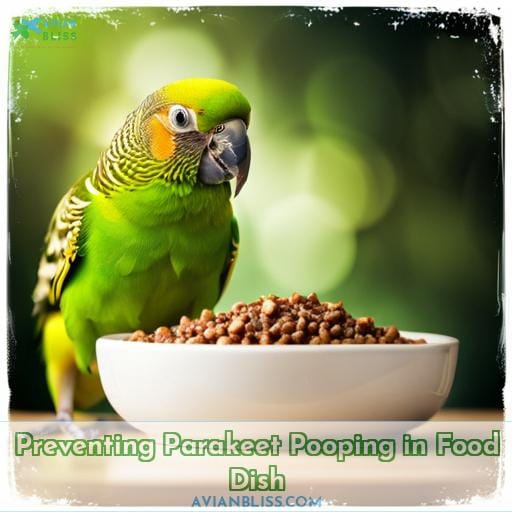 Preventing Parakeet Pooping in Food Dish