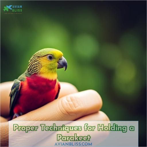Proper Techniques for Holding a Parakeet