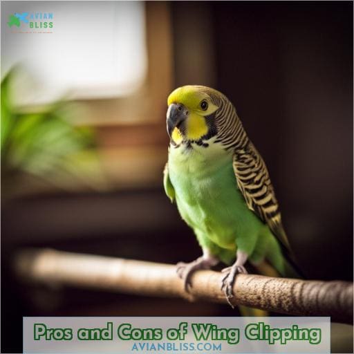 Pros and Cons of Wing Clipping