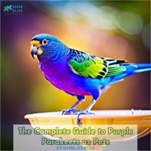 purple parakeets as pets a complete guide for first time buyers