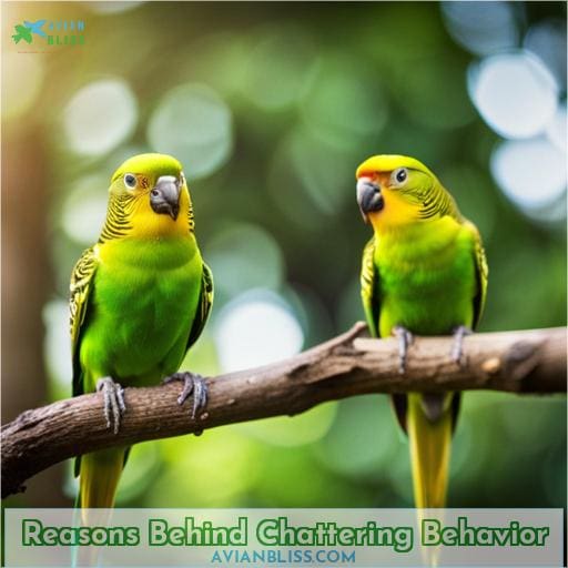 Reasons Behind Chattering Behavior