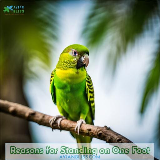 Reasons for Standing on One Foot