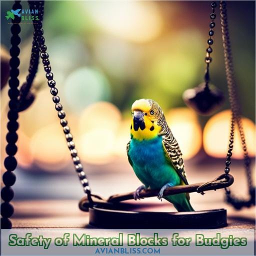 Safety of Mineral Blocks for Budgies