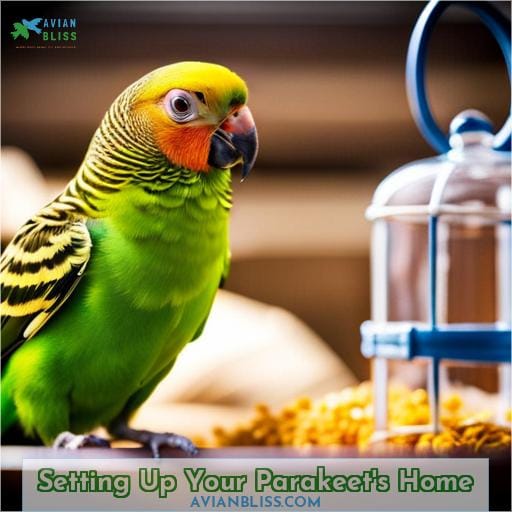 Setting Up Your Parakeet