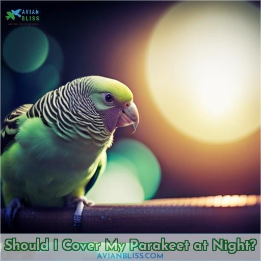Should I Cover My Parakeet at Night