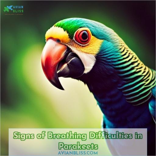 Signs of Breathing Difficulties in Parakeets