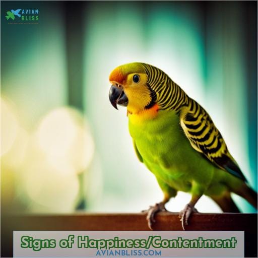 Signs of Happiness/Contentment