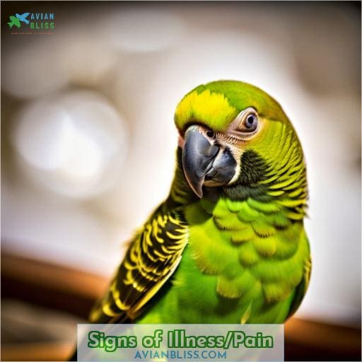 Signs of Illness/Pain