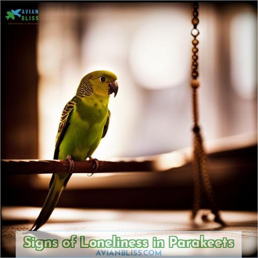 Signs of Loneliness in Parakeets
