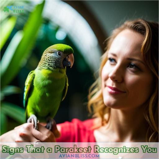 Signs That a Parakeet Recognizes You