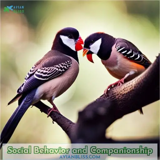 Social Behavior and Companionship