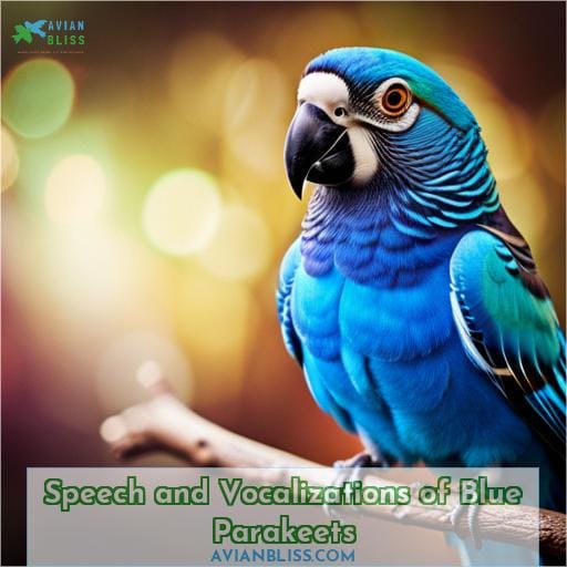Speech and Vocalizations of Blue Parakeets