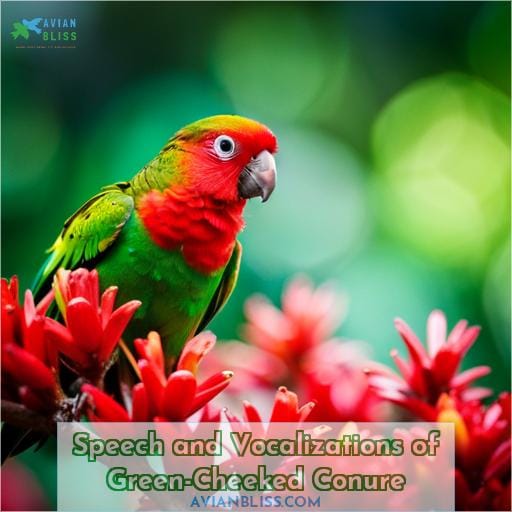 Speech and Vocalizations of Green-Cheeked Conure